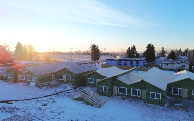 Protect Your Build: Wood Treatments for Fire and Moisture Control