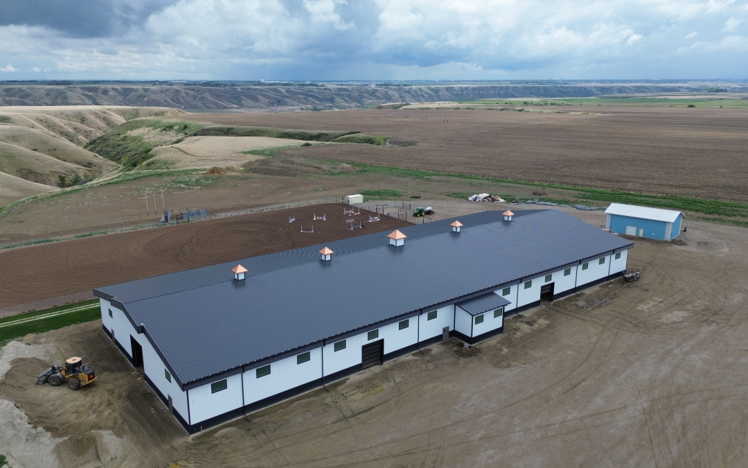 Case Study #3 – Stranville Living in Lethbridge